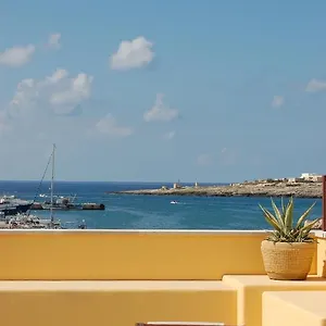 El Mosaico Del Sol LMP